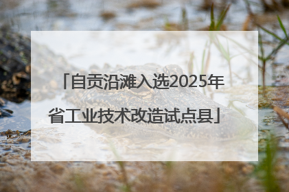 自贡沿滩入选2025年省工业技术改造试点县