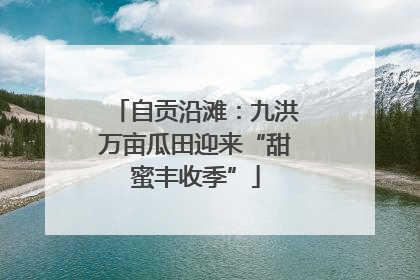 自贡沿滩：九洪万亩瓜田迎来“甜蜜丰收季”