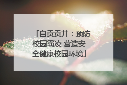 自贡贡井：预防校园霸凌 营造安全健康校园环境
