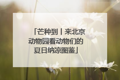 芒种到丨来北京动物园看动物们的夏日纳凉图鉴