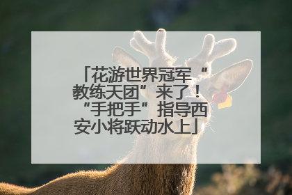 花游世界冠军“教练天团”来了！“手把手”指导西安小将跃动水上