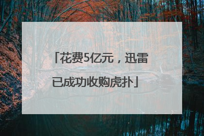 花费5亿元，迅雷已成功收购虎扑