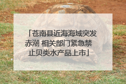 苍南县近海海域突发赤潮 相关部门紧急禁止贝类水产品上市