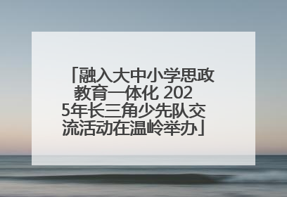 融入大中小学思政教育一体化 2025年长三角少先队交流活动在温岭举办