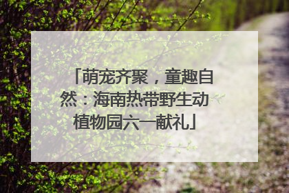 萌宠齐聚，童趣自然：海南热带野生动植物园六一献礼