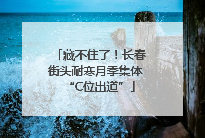 藏不住了！长春街头耐寒月季集体“C位出道”