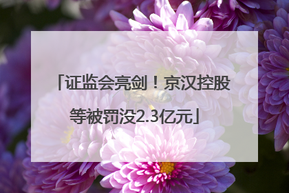 证监会亮剑！京汉控股等被罚没2.3亿元