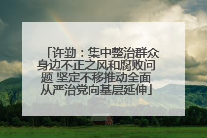 许勤：集中整治群众身边不正之风和腐败问题 坚定不移推动全面从严治党向基层延伸