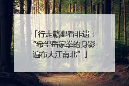 行走赣鄱看非遗：“希望岳家拳的身影遍布大江南北”