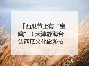 西瓜节上有“宝藏”！天津静海台头西瓜文化旅游节甜蜜开幕