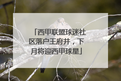 西甲联盟球迷社区落户王府井，下月将迎西甲球星