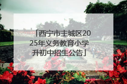 西宁市主城区2025年义务教育小学升初中招生公告