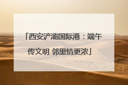 西安浐灞国际港：端午传文明 邻里情更浓
