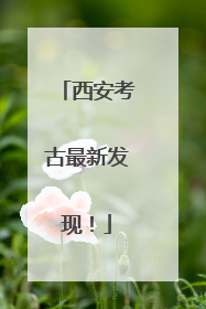西安考古最新发现！