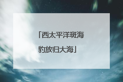 西太平洋斑海豹放归大海