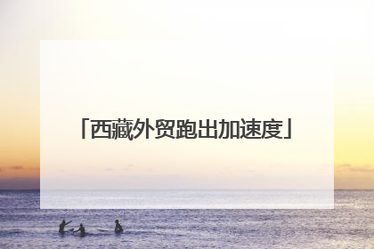 西藏外贸跑出加速度