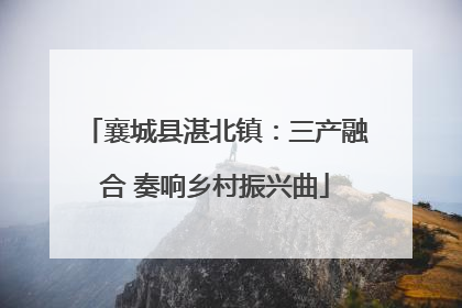 襄城县湛北镇：三产融合 奏响乡村振兴曲