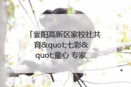 襄阳高新区家校社共育"七彩"童心 专家团支招智慧育儿