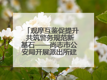 观摩互鉴促提升 共筑警务规范新基石——尚志市公安局开展派出所建设拉动观摩活动