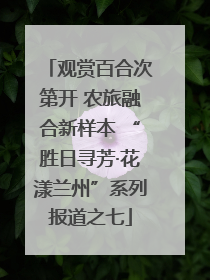 观赏百合次第开 农旅融合新样本 “胜日寻芳·花漾兰州”系列报道之七