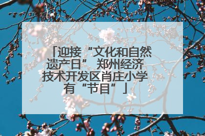迎接“文化和自然遗产日” 郑州经济技术开发区肖庄小学有“节目”
