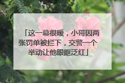 这一幕很暖，小哥因两张罚单被拦下，交警一个举动让他眼眶泛红