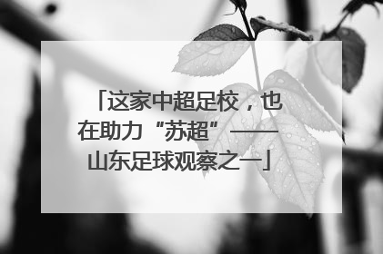 这家中超足校，也在助力“苏超”——山东足球观察之一