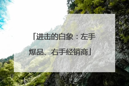 进击的白象：左手爆品、右手经销商