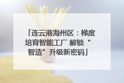 连云港海州区：梯度培育智能工厂 解锁“智造”升级新密码
