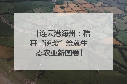 连云港海州：秸秆“逆袭”绘就生态农业新画卷