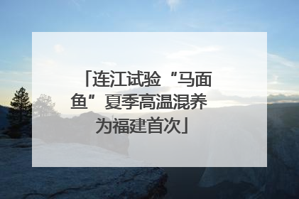 连江试验“马面鱼”夏季高温混养 为福建首次