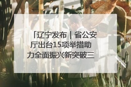 辽宁发布｜省公安厅出台15项举措助力全面振兴新突破三年行动决胜之战