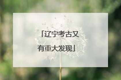 辽宁考古又有重大发现