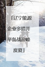 辽宁能源企业多措并举备战迎峰度夏