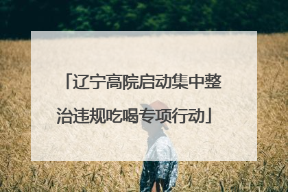 辽宁高院启动集中整治违规吃喝专项行动