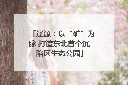 辽源：以“矿”为脉 打造东北首个沉陷区生态公园
