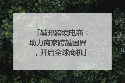 辅邦跨境电商：助力商家跨越国界，开启全球商机
