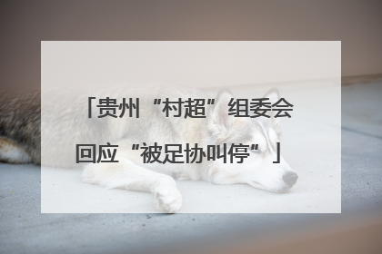 贵州“村超”组委会回应“被足协叫停”