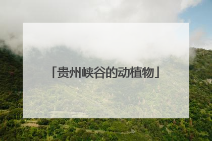 贵州峡谷的动植物