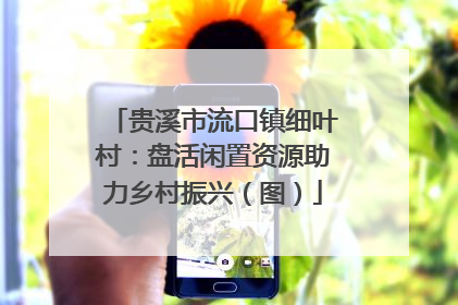 贵溪市流口镇细叶村：盘活闲置资源助力乡村振兴（图）