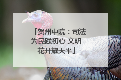 贺州中院：司法为民践初心 文明花开耀天平