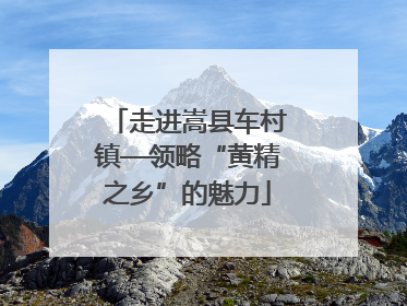 走进嵩县车村镇—领略“黄精之乡”的魅力