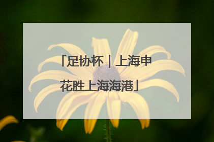 足协杯｜上海申花胜上海海港