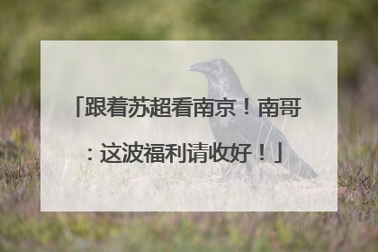 跟着苏超看南京！南哥：这波福利请收好！