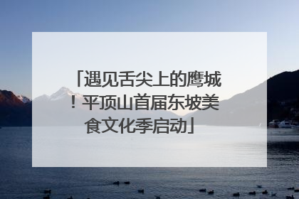 遇见舌尖上的鹰城！平顶山首届东坡美食文化季启动