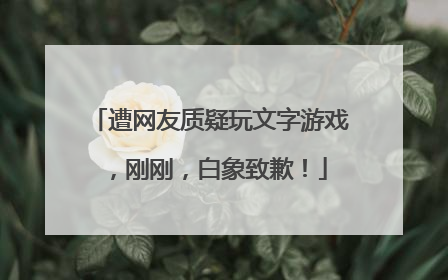 遭网友质疑玩文字游戏，刚刚，白象致歉！