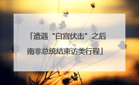 遭遇“白宫伏击”之后 南非总统结束访美行程