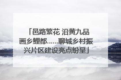 邑路繁花 沿黄九品 画乡鲤都……聊城乡村振兴片区建设亮点纷呈