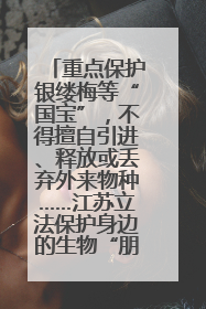 重点保护银缕梅等“国宝”，不得擅自引进、释放或丢弃外来物种……江苏立法保护身边的生物“朋友圈”