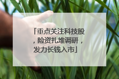 重点关注科技股，险资扎堆调研，发力长钱入市